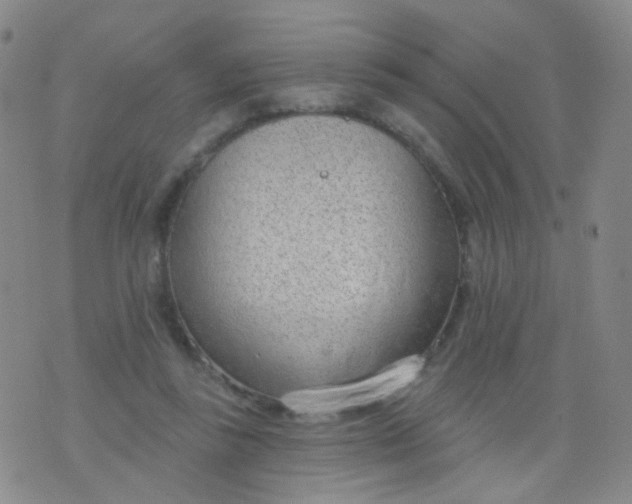 X0000076400355200610202136