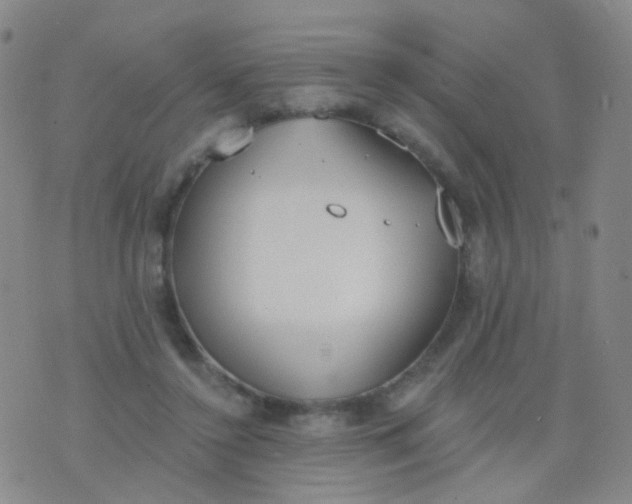 X0000076400356200610202136