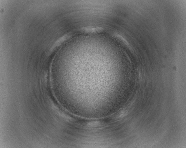 X0000076400357200610202136