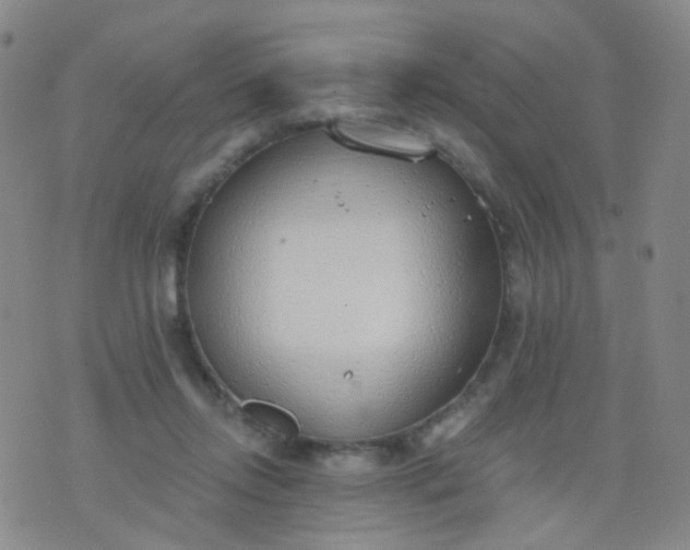 X0000076400358200610202136