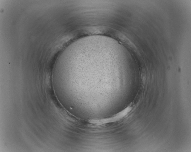 X0000076400359200610202136