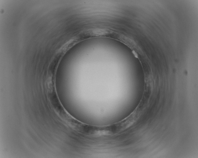 X0000076400360200610202136