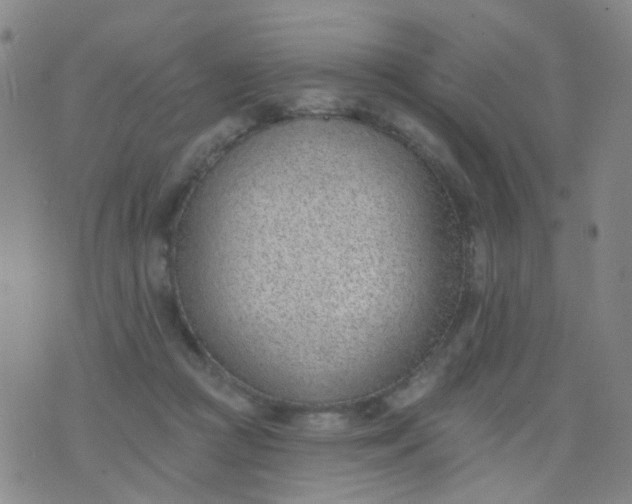 X0000076400361200610202136