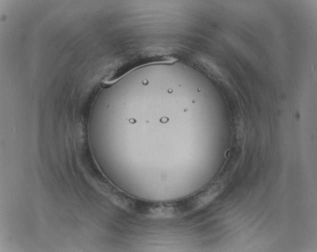 X0000076400362200610202136