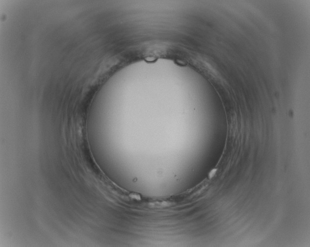 X0000076400363200610202136