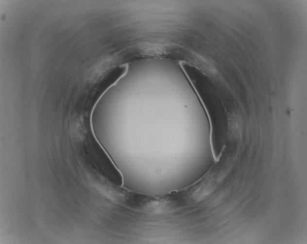 X0000076400364200610202136