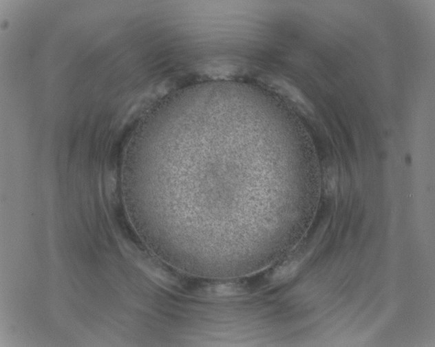 X0000076400365200610202136