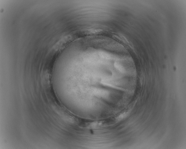 X0000076400366200610202136