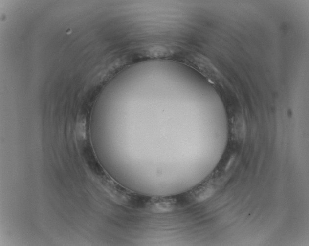 X0000076400368200610202136