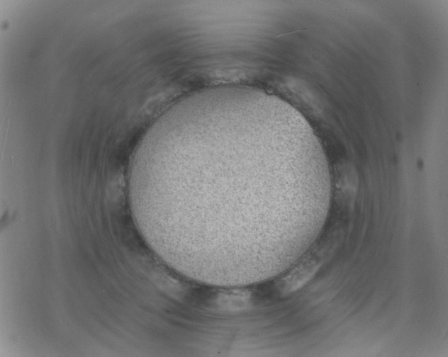 X0000076400369200610202136