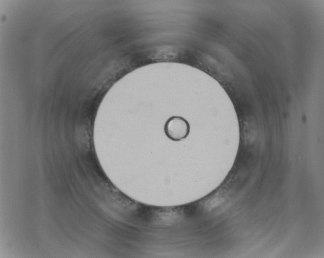 X0000076400370200610202136