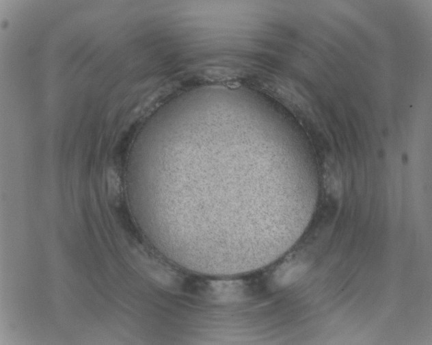 X0000076400371200610202136