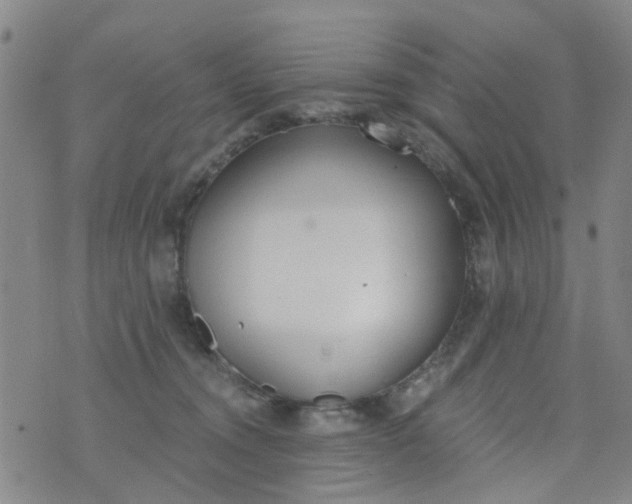 X0000076400372200610202136