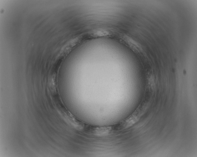 X0000076400373200610202136