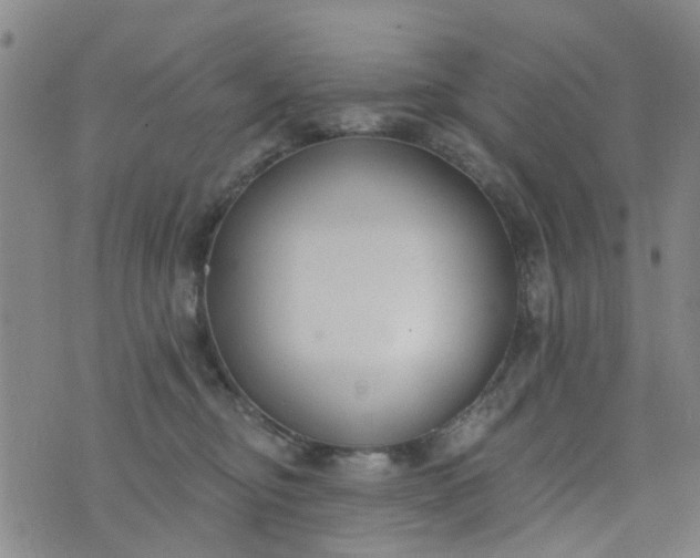 X0000076400374200610202136