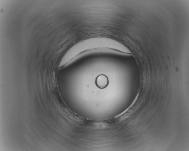 X0000076400376200610202136