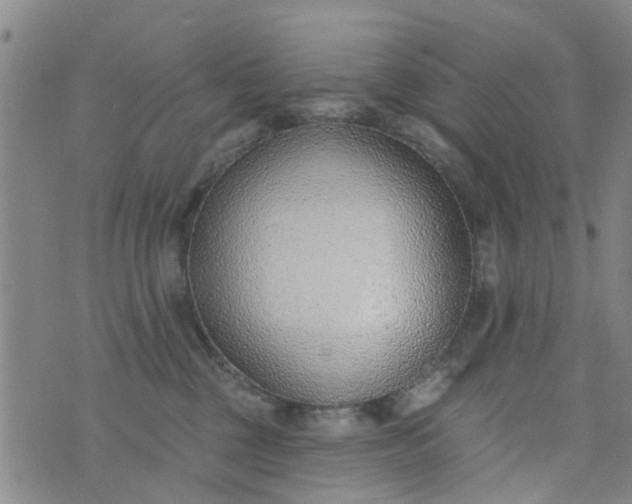 X0000076400377200610202136