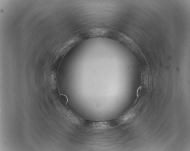 X0000076400378200610202136