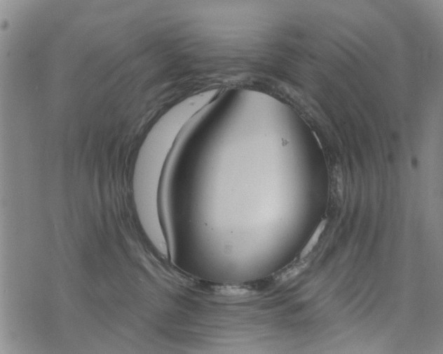 X0000076400380200610202136