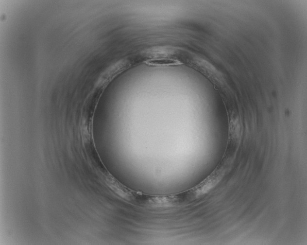 X0000076400381200610202136