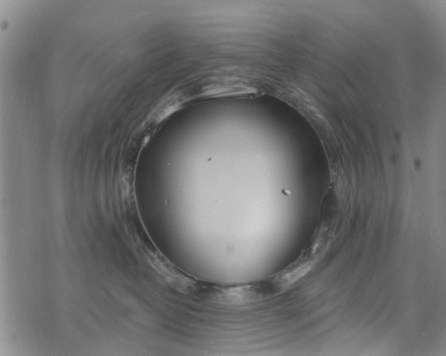 X0000076400382200610202136