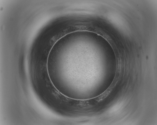 X0000076400383200610202136