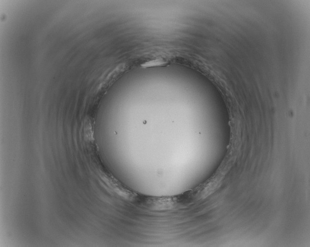 X0000076400384200610202136