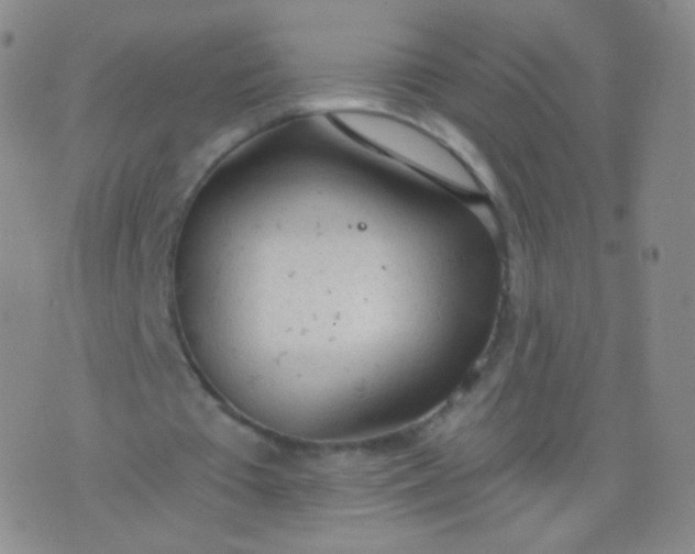 X0000076400385200610202135