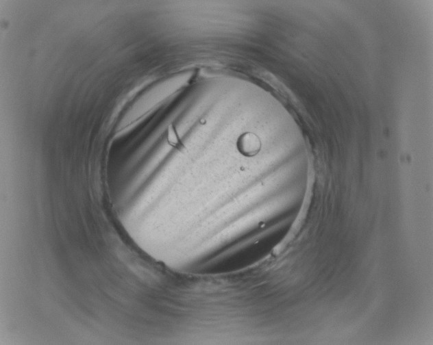 X0000076400386200610202135