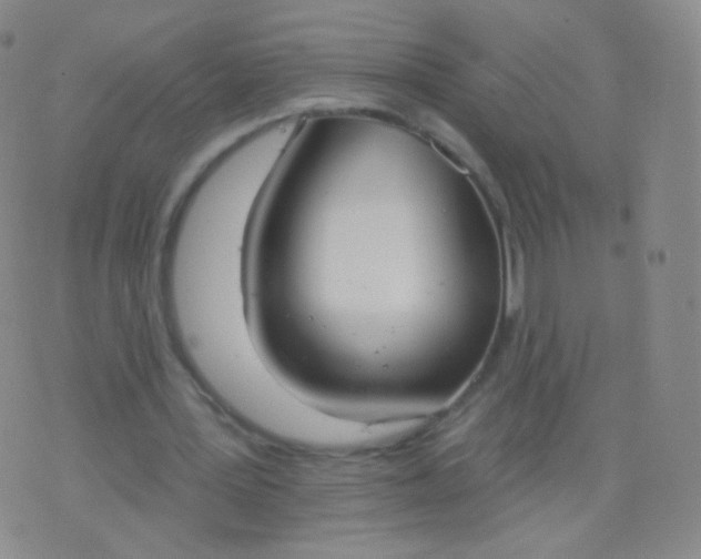 X0000076400387200610202135