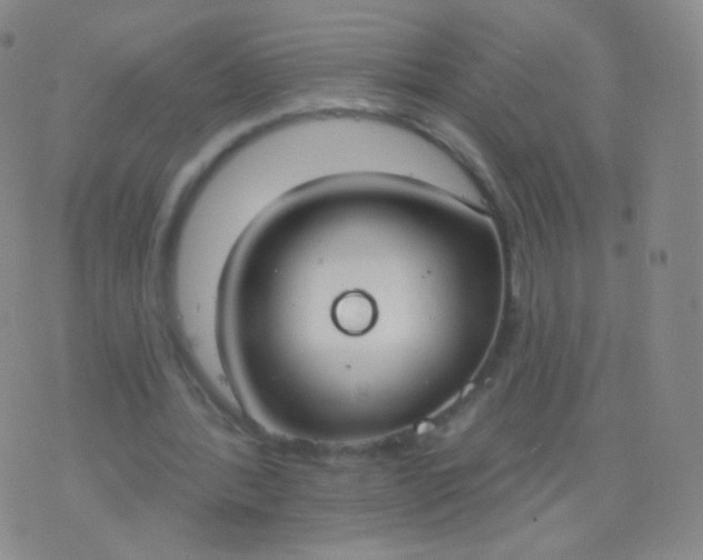 X0000076400388200610202135