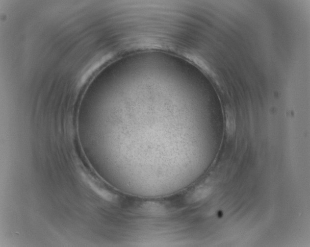 X0000076400390200610202135