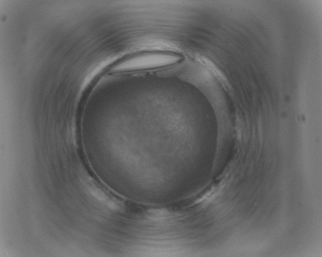 X0000076400391200610202135