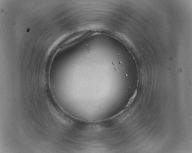 X0000076400392200610202135