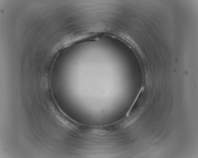 X0000076400393200610202135