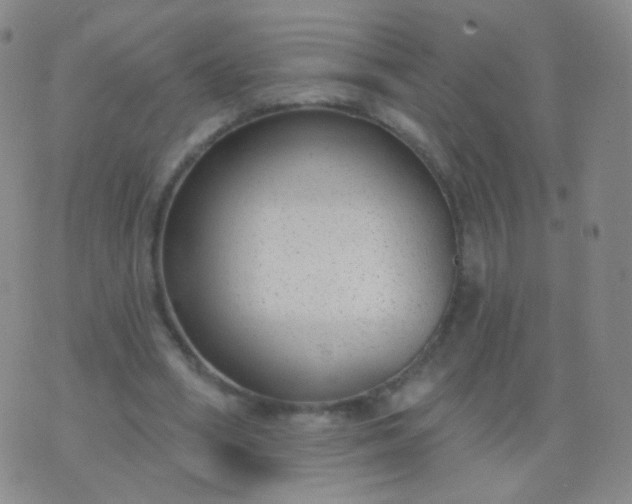 X0000076400394200610202135