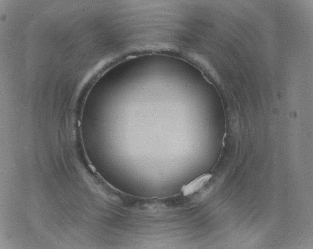 X0000076400395200610202135