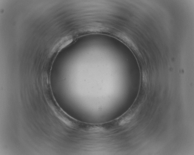 X0000076400397200610202135