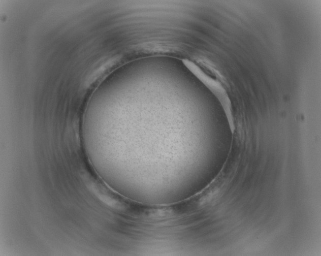 X0000076400398200610202135