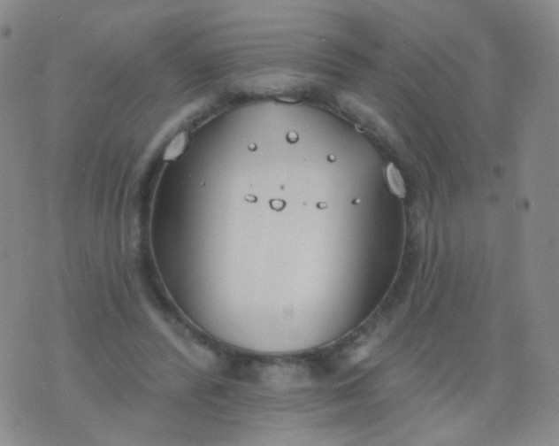 X0000076400400200610202135