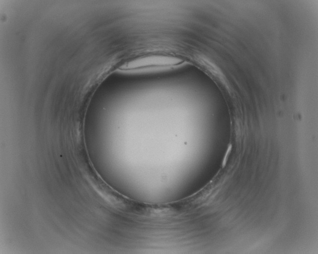 X0000076400401200610202135