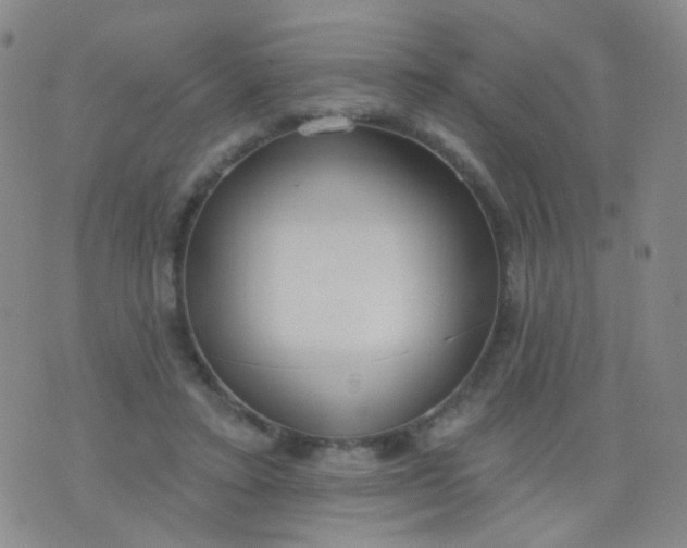 X0000076400403200610202135