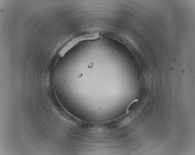 X0000076400404200610202135