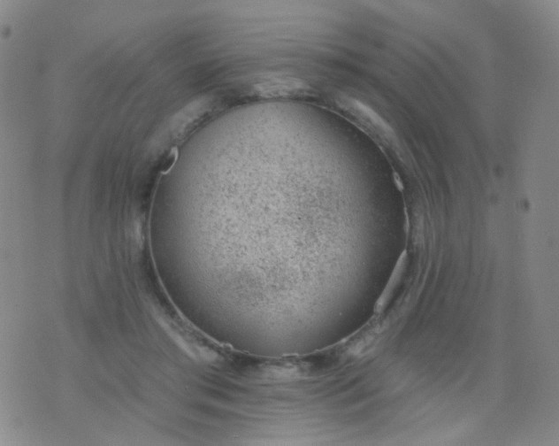 X0000076400405200610202135