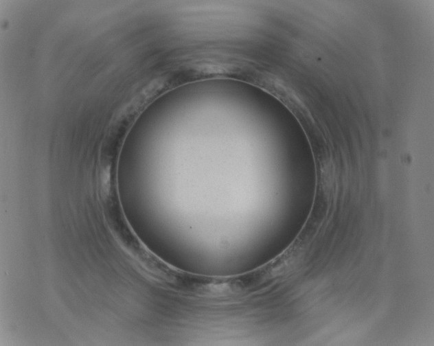 X0000076400406200610202135