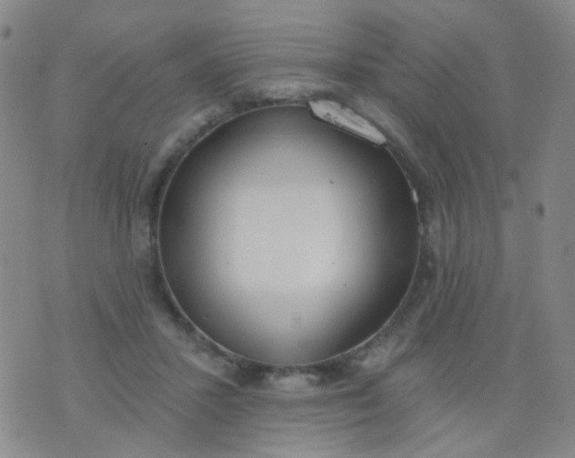 X0000076400407200610202135