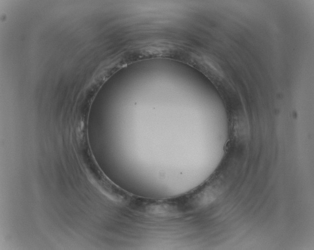 X0000076400408200610202135