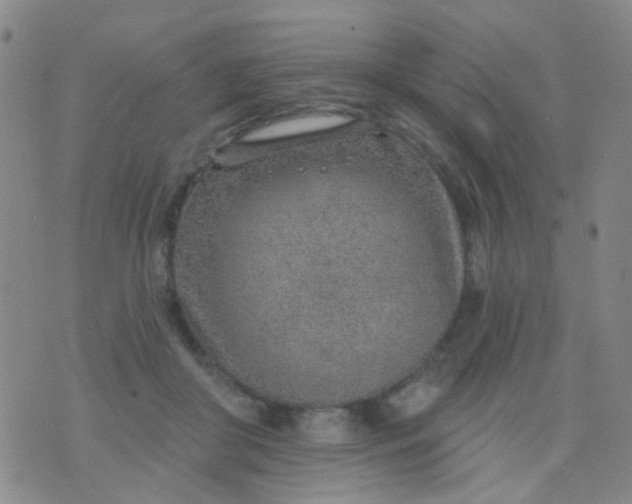 X0000076400410200610202135