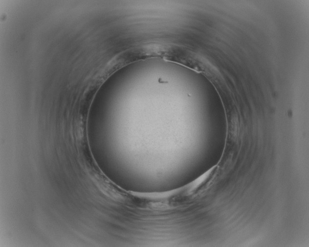 X0000076400413200610202135