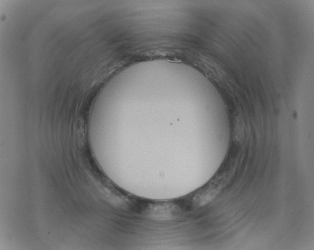 X0000076400414200610202135